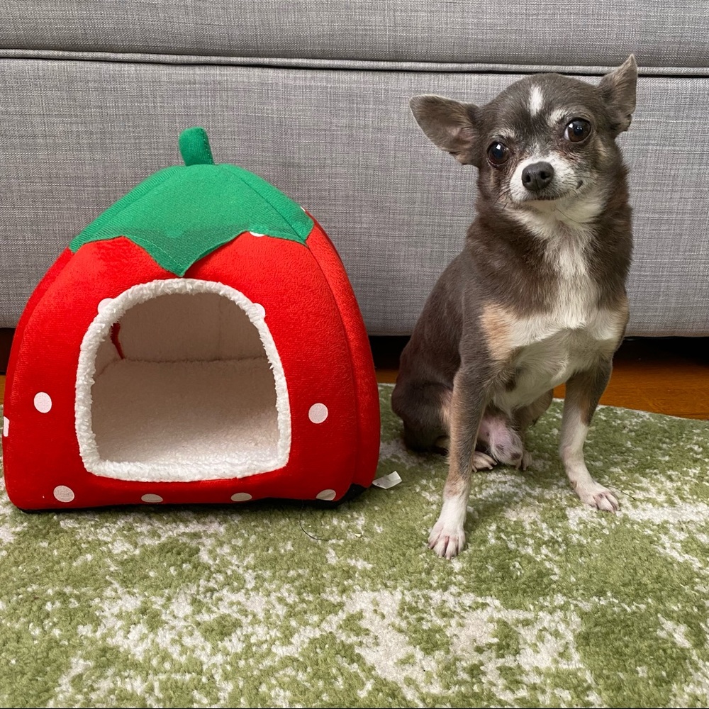 SHOPTREND Cute Strawberry EXTRA Small Pet Bed